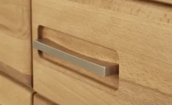 Woodford TV-Element Dio