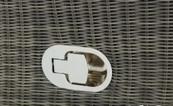 Zebra Relaxsessel Status